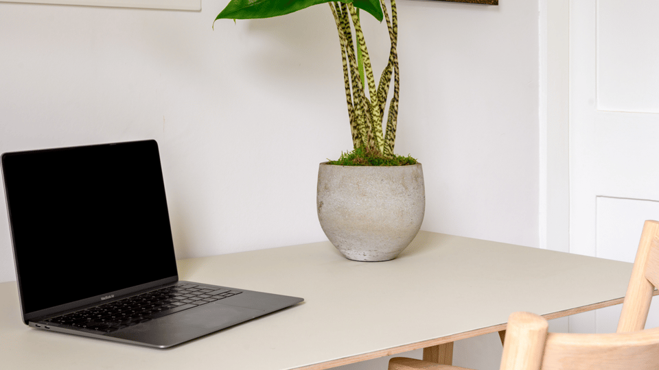 LifeX Home Office